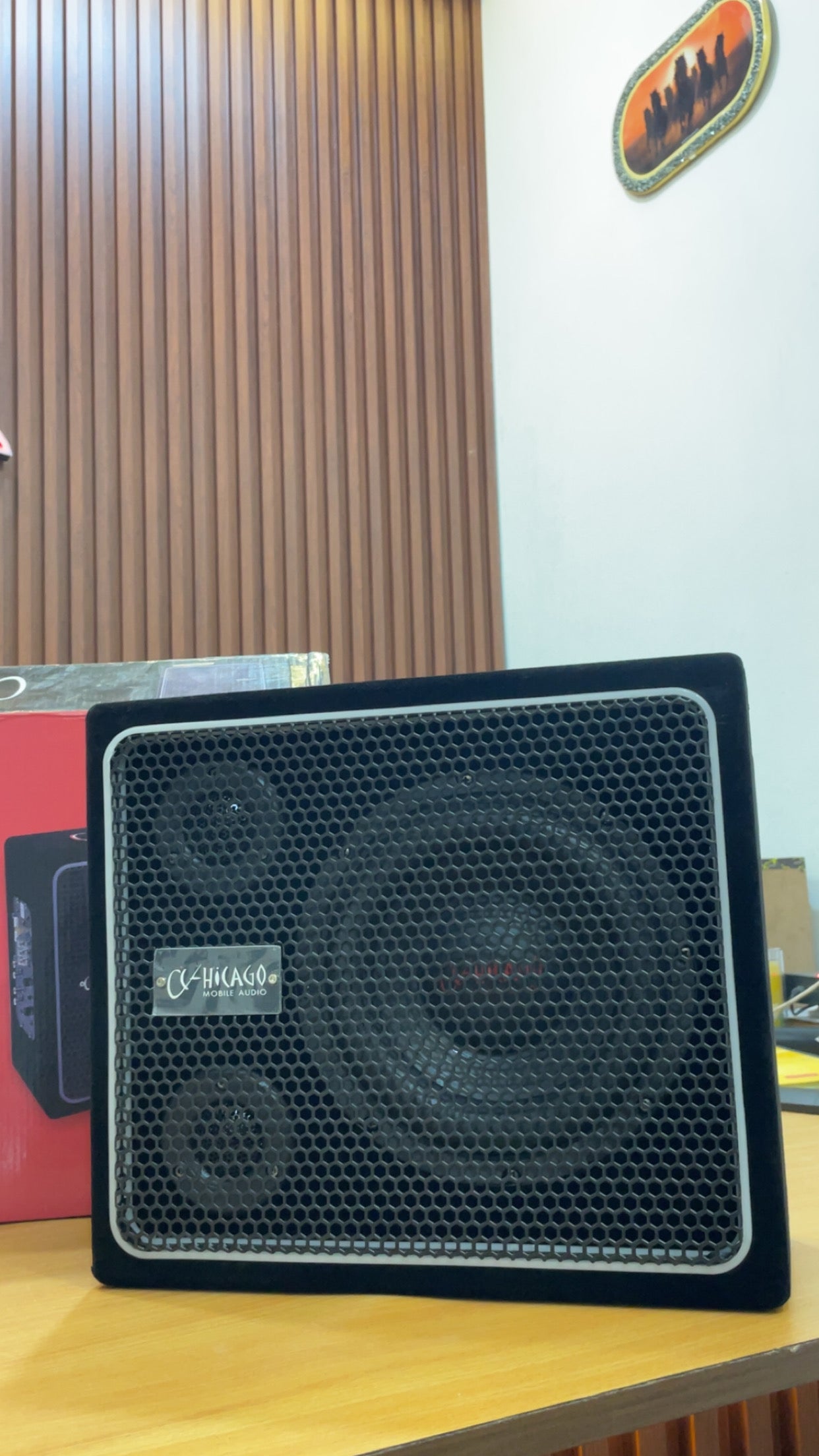 Chicago CWX-800A – 8” Active Subwoofer